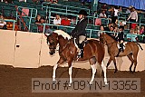 09yn-13355 proof