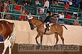 09yn-13356 proof
