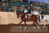 09yn-13360 proof