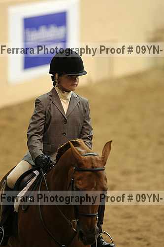 Proof 09yn-13369