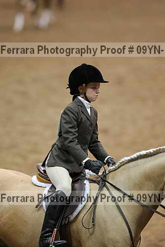 Proof 09yn-13374