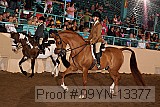 09yn-13377 proof