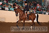09yn-13379 proof