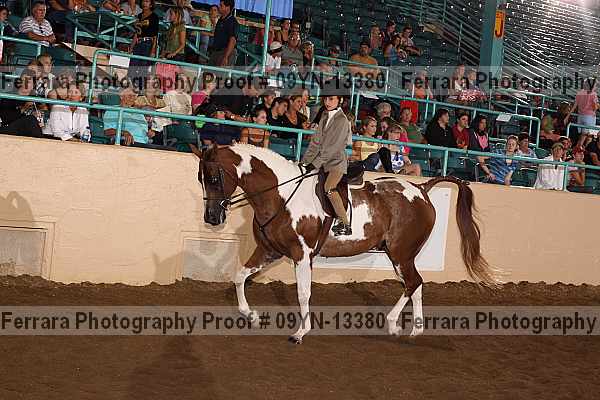 Proof 09yn-13380