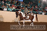 09yn-13380 proof