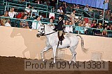 09yn-13381 proof