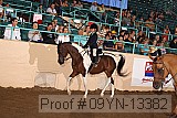 09yn-13382 proof