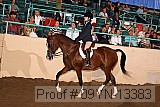 09yn-13383 proof