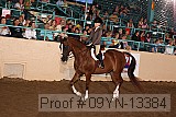 09yn-13384 proof