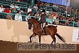 09yn-13385 proof