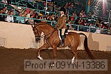 09yn-13386 proof
