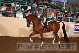 09yn-13387 proof