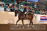 09yn-13388 proof