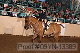 09yn-13389 proof
