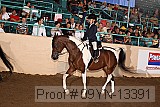 09yn-13391 proof