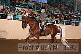09yn-13392 proof