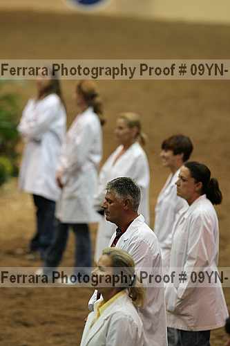 Proof 09yn-13393