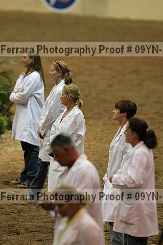 Proof 09yn-13394