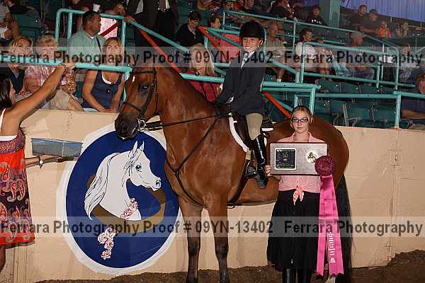 Proof 09yn-13402