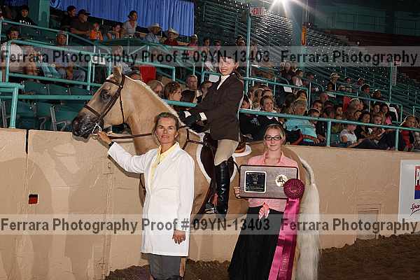 Proof 09yn-13403
