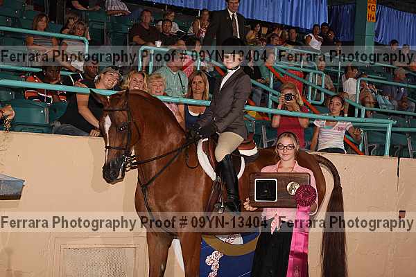 Proof 09yn-13404