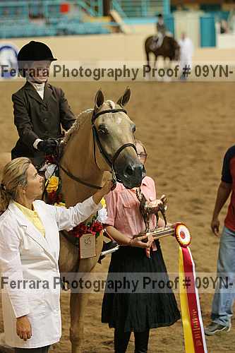 Proof 09yn-13409