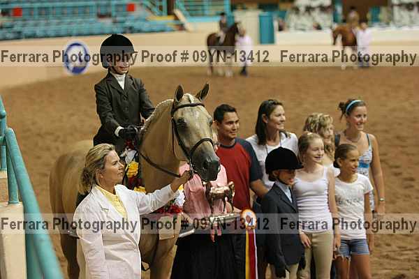 Proof 09yn-13412