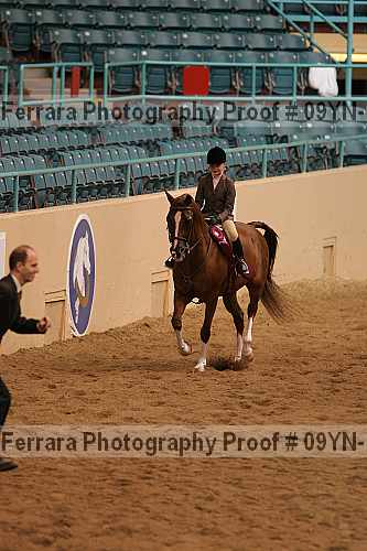 Proof 09yn-13416