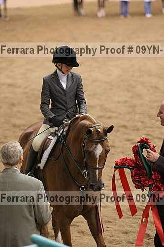 Proof 09yn-13417