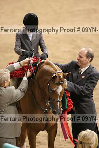 Proof 09yn-13419