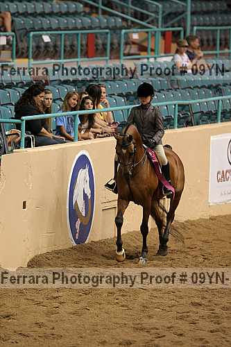 Proof 09yn-13428