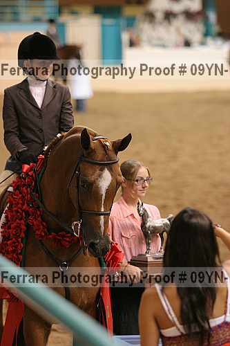 Proof 09yn-13434