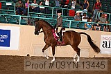 09yn-13445 proof