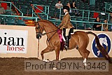09yn-13448 proof