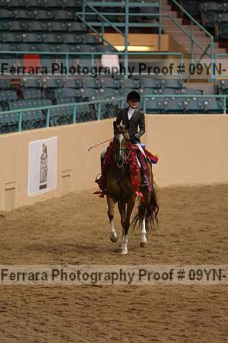 Proof 09yn-13449
