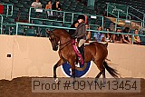 09yn-13454 proof
