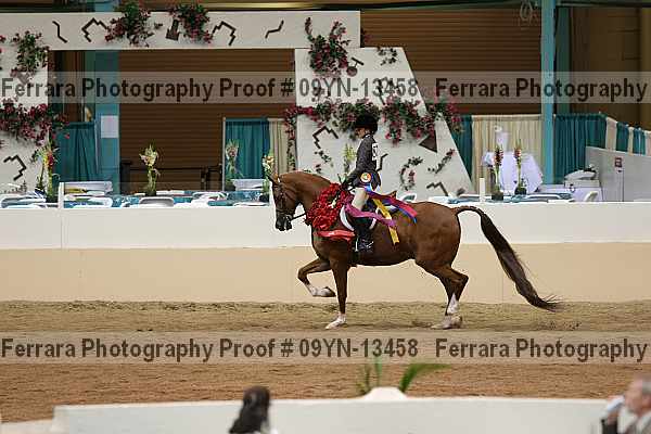 Proof 09yn-13458