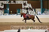 09yn-13458 proof