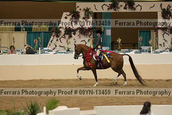 Proof 09yn-13459