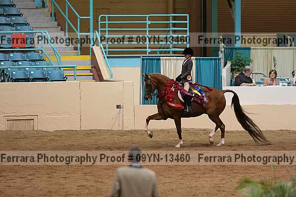 Proof 09yn-13460