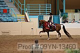 09yn-13460 proof