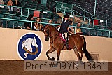 09yn-13461 proof
