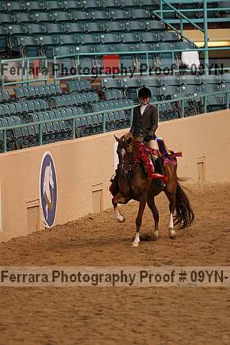 Proof 09yn-13462