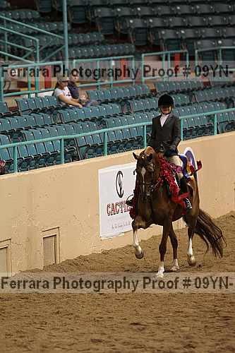 Proof 09yn-13463