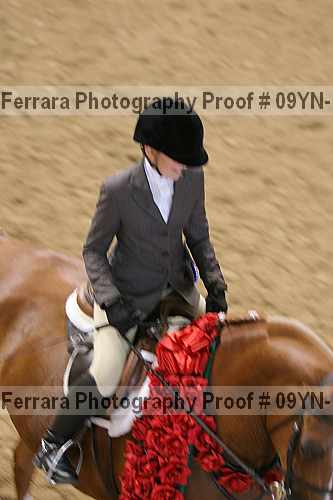 Proof 09yn-13473