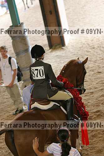 Proof 09yn-13475