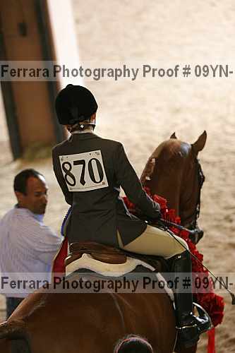 Proof 09yn-13476