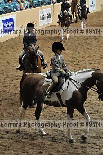 Proof 09yn-13793