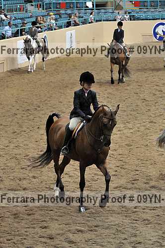 Proof 09yn-13795