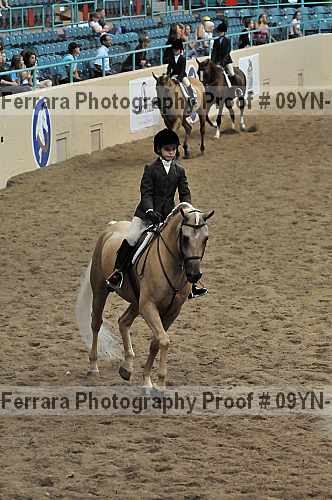 Proof 09yn-13796